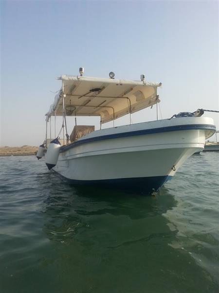 الطفيه